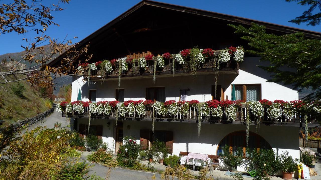 Schlosshof Zu Montani Morter Dış mekan fotoğraf