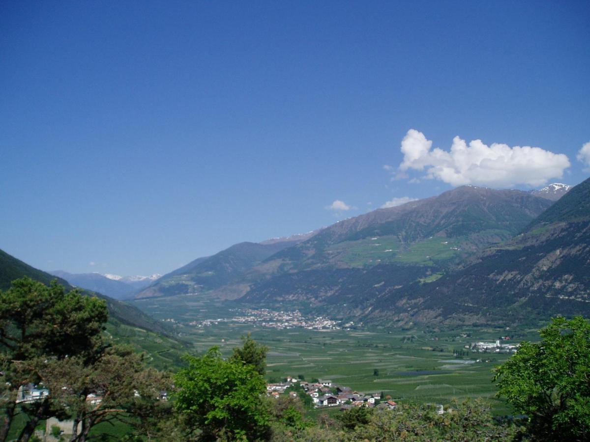 Schlosshof Zu Montani Morter Dış mekan fotoğraf