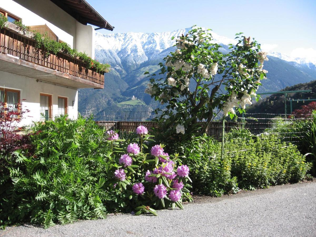 Schlosshof Zu Montani Morter Dış mekan fotoğraf